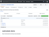 Git Submodules